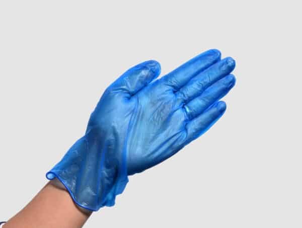 blue disposable vinyl glove